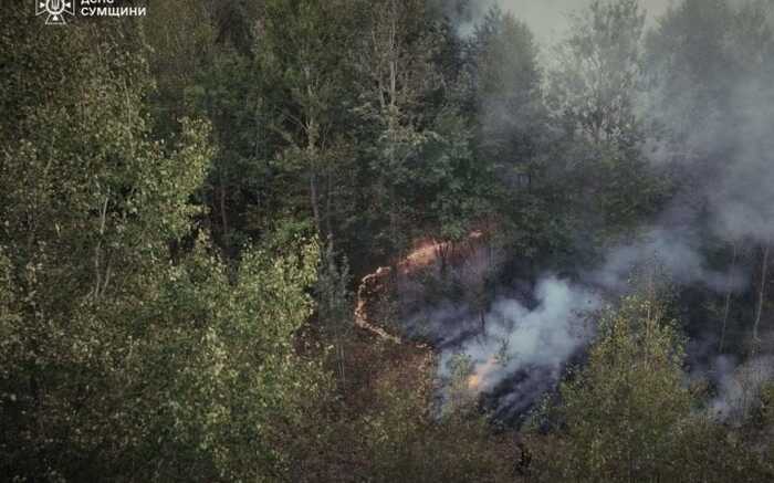 Рятувальники ДСНС ліквідували масштабну пожежу на Сумщині